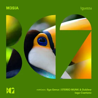 Iguazu by M3SIA