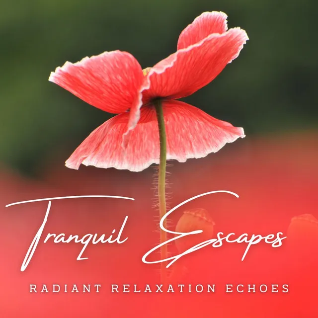 Tranquil Escapes: Meditative Melodies for Relaxation