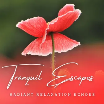 Tranquil Escapes: Meditative Melodies for Relaxation by N.Y. Atmosphere