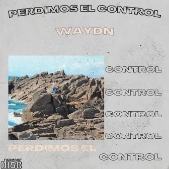 perdimos el control by Waydn