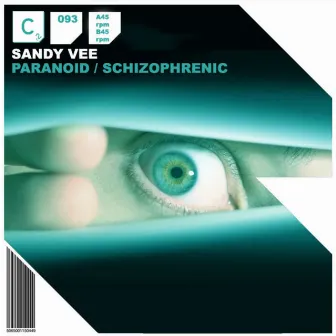 Paranoid / Schizophrenic by Sandy Vee