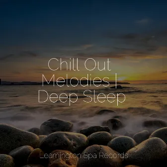 Chill Out Melodies | Deep Sleep by Rain Spa