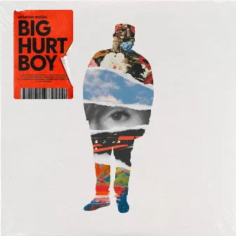 Big Hurt Boy by Donovan Woods