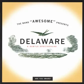 Delaware - A Subtle Spectacular by Awesome