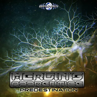 Predestination by Merlin's Apprentice