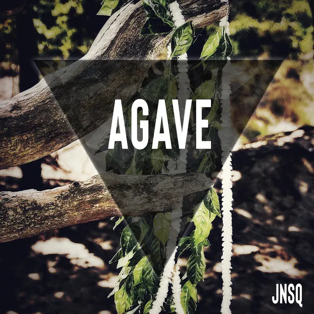 Agave