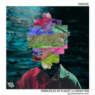 Oxidize by Principles Of Flight