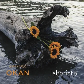 Laberinto by Okan