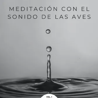 Meditación Con El Sonido De Las Aves Vol. 1 by 