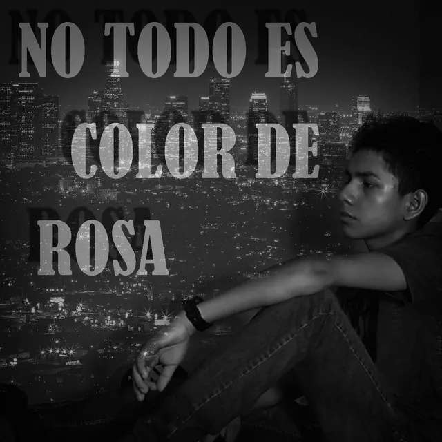 No Todo Es Color de Rosa