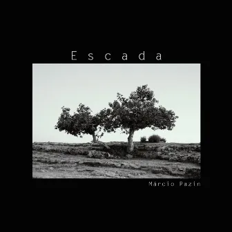 Escada by Márcio Pazin