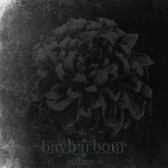 Transition by Bayharbour