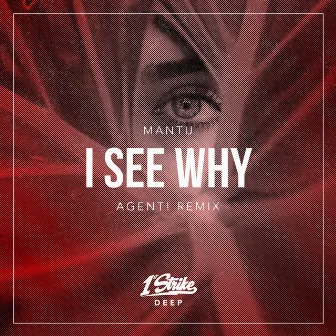 I See Why (AGENT! Remix) by Mantu