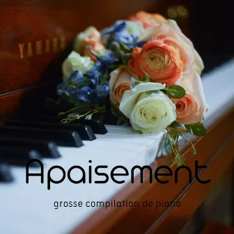 Apaisement (grosse compilation de piano) by Timo Capioni