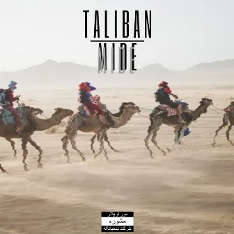 Taliban by Mide