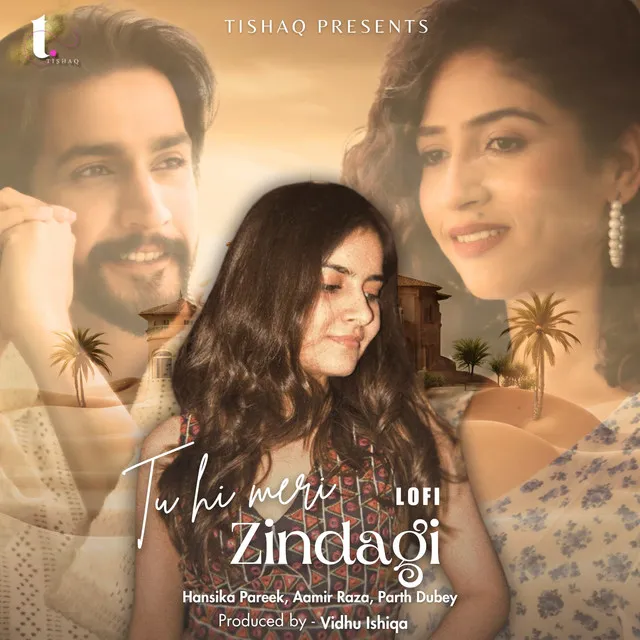 Tu Hi Meri Zindagi (Lofi)