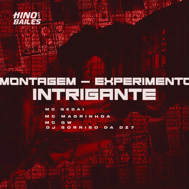 Montagem - Experimento Intrigante