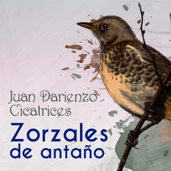 Zorzales de Antaño - Juan Darienzo - Cicatrices by Orquesta De Juan Darienzo