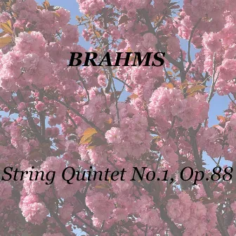 Brahms: String Quintet No.1, Op.88 by 