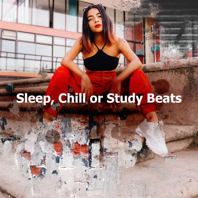 Sleep, Chill or Study Beats