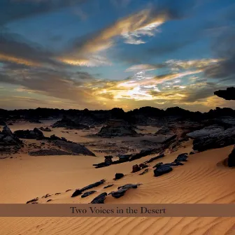 Two Voices In The Desert by Perry Robinson