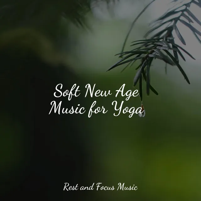 Soft New Age Music for Yoga