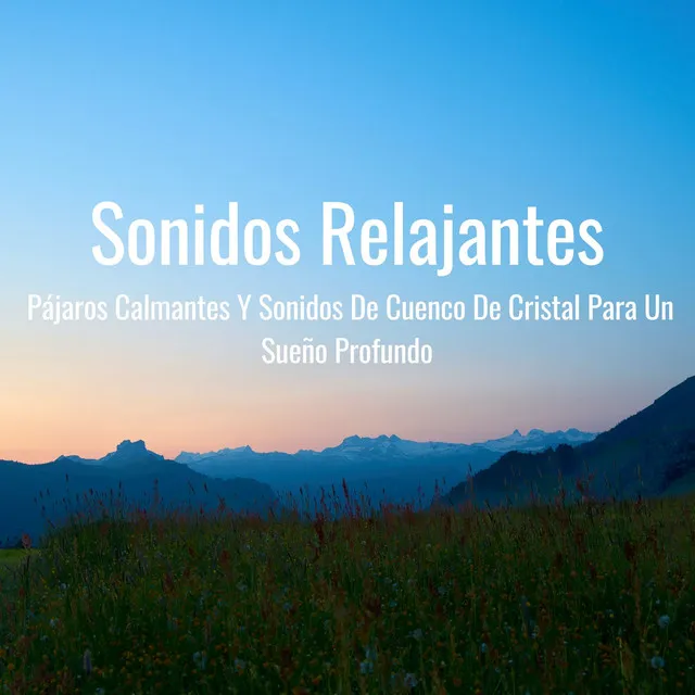 Sonidos Relajantes: Pájaros Calmantes Y Sonidos De Cuenco De Cristal Para Un Sueño Profundo