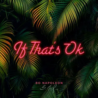 If That's Ok by Bo Napoleon