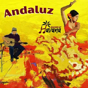 Andaluz by Sounds of Havana