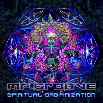 Spiritual Organization by MP Groove