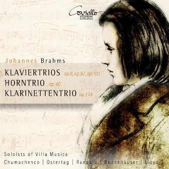 Brahms: Klaviertrios Op. 8, Op. 87, Op. 101, Horntrio Op. 40 & Klarinettentrio Op. 114 by Martin Ostertag