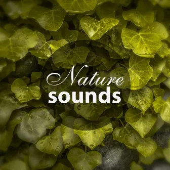 Nature Sounds – New Age Relaxation, Soft Music to Help You Relax, Nature Music for Better Day by Feeling Good Club