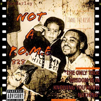 Not A P.o.m.e by Daz Marley