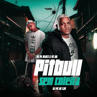 Pitbull Sem Coleira by DJ PG DE SJM