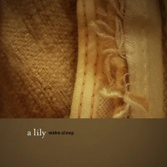 wake:sleep by A Lily