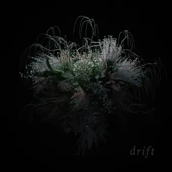 Drift by Timothee Loo