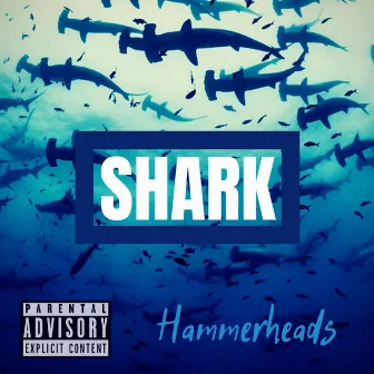 Hammerheads by Shark the SOB