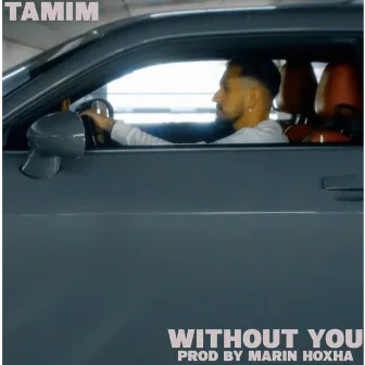 Without You (feat. Marin Hoxha) by Tamim