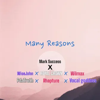 Many Reasons (REMIX) by Mark Success