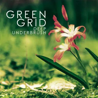 Deep Underbrush by Green Grid