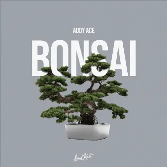 Bonsai by Addy Ace