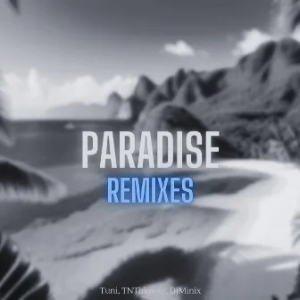 Paradise (Remixes) by DJ-Minix