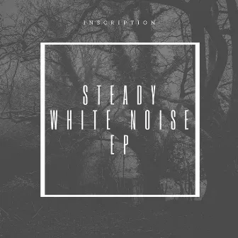 Steady White Noise EP by Inscription