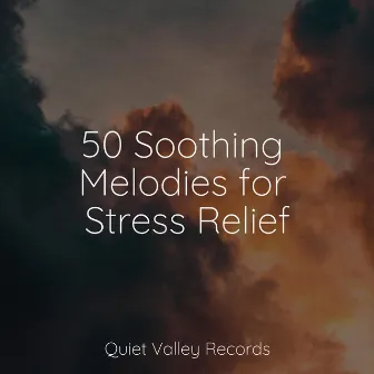 50 Soothing Melodies for Stress Relief by Sounds Of Nature: Thunderstorm