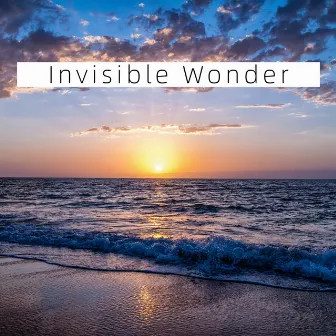 Invisible Wonder by Janet