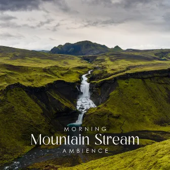 Morning Mountain Stream Ambience by Tranquility Nature Center