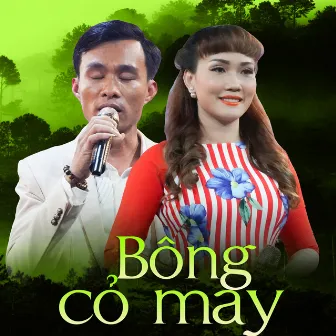 Bông Cỏ May by Lâm Minh Thảo