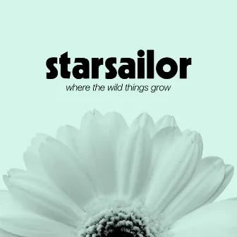 Where The Wild Things Grow by Starsailor