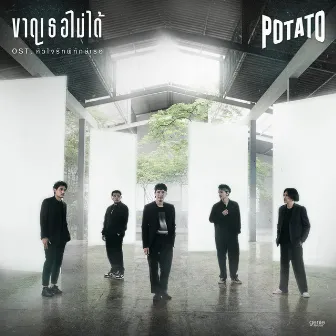 ขาดเธอไม่ได้ - Single by Potato