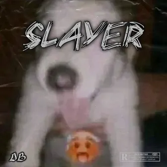 Slayer by Yung Pock